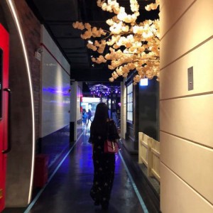 招聘黄金导购文案（招募精英销售助理：点亮顾客购物之旅）