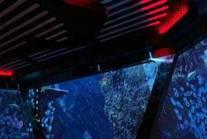 上海翻台高的夜场招聘酒水促销员,是上白班还是上夜班