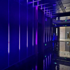 上海生意火爆的酒吧招聘包厢陪唱,提升专业技能