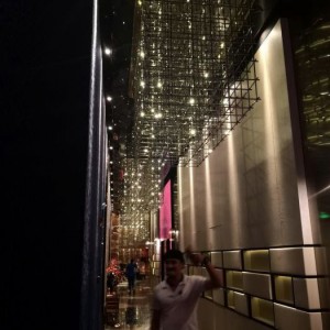 动物医学招聘文案范文（招募动物健康守护者：兽医岗位招募文案）