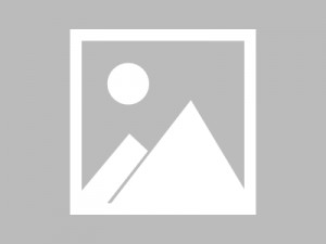 上海普陀区曹杨新村街道附近酒吧招聘包厢气氛租,招聘微信多少