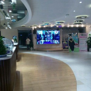 上海哪里夜总会ktv招聘商务迎宾,是否需要具备一定的表演能力？