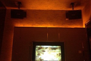 暑假歌手招聘文案（夏日音乐季·歌手招募启事）