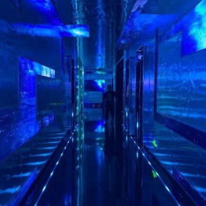 上海浦东新区东明路街道附近酒吧招聘包厢管家,有没有年龄限制_