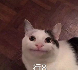 上海有小费拿的夜总会ktv招聘商务礼仪,是否需要具备一定的表演能力？