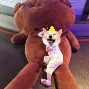 招聘文案海报素材（创意招聘宣传海报设计元素）