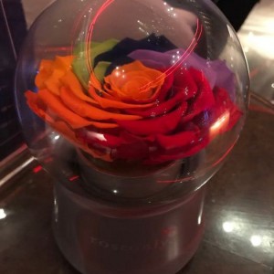 上海浦东新区金杨新村街道附近夜场招聘商务接待,跟领队还是直招