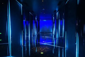 上海闵行区浦江镇附近酒吧招聘现场DJ,有学历要求吗？